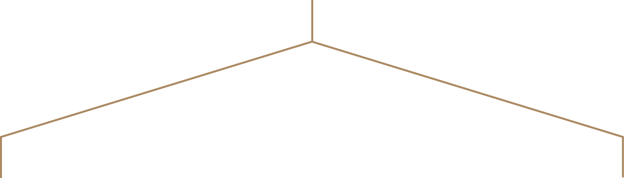 Sample Kit - kit lines